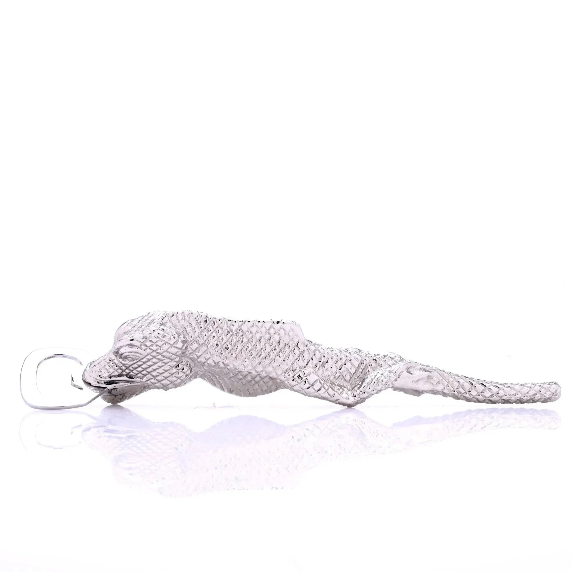 Iguana Bottle Opener