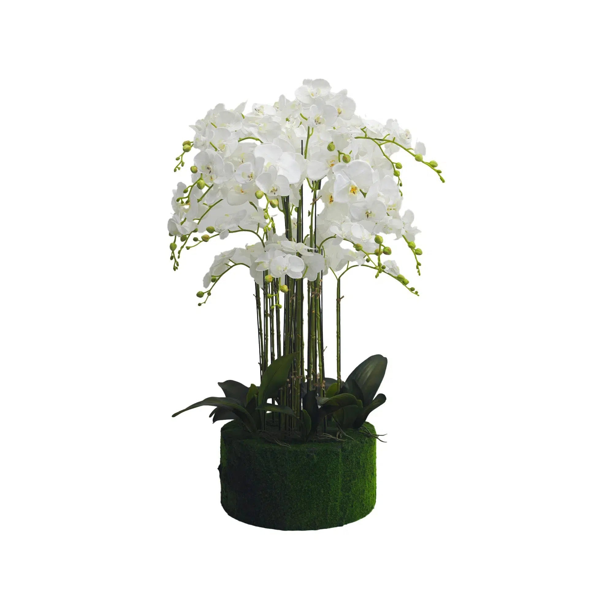 Artificial Orchid Plant Real Touch With Moss Base And Leaves