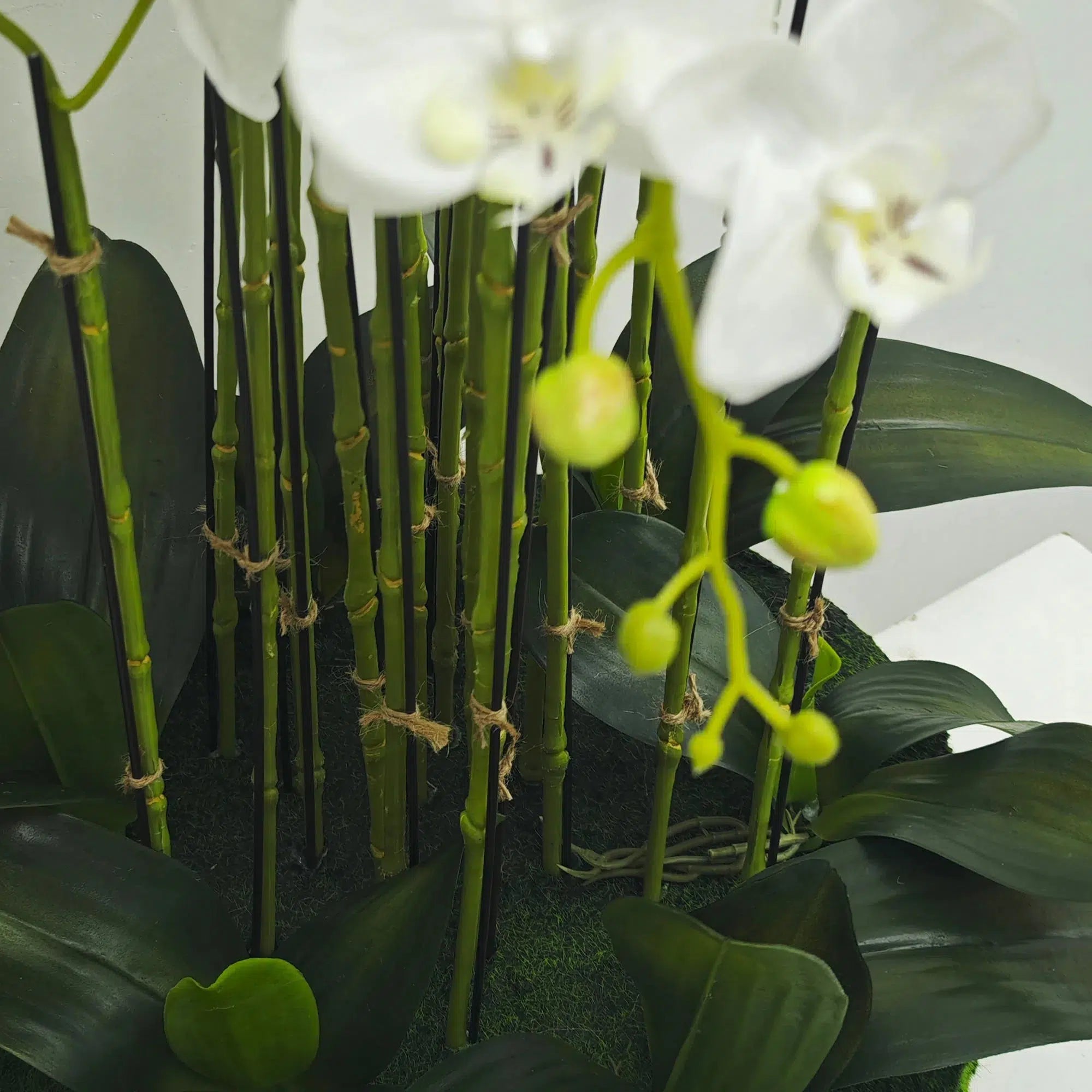 Artificial Orchid Plant Real Touch With Moss Base And Leaves