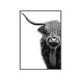 Black and White Highland Cow Print 1