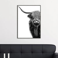 Black and White Highland Cow Print 1