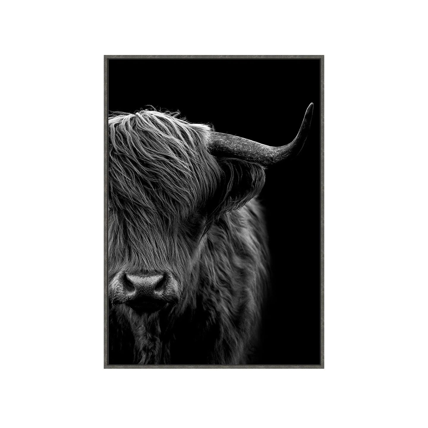 Black and White Highland Cow Print 2