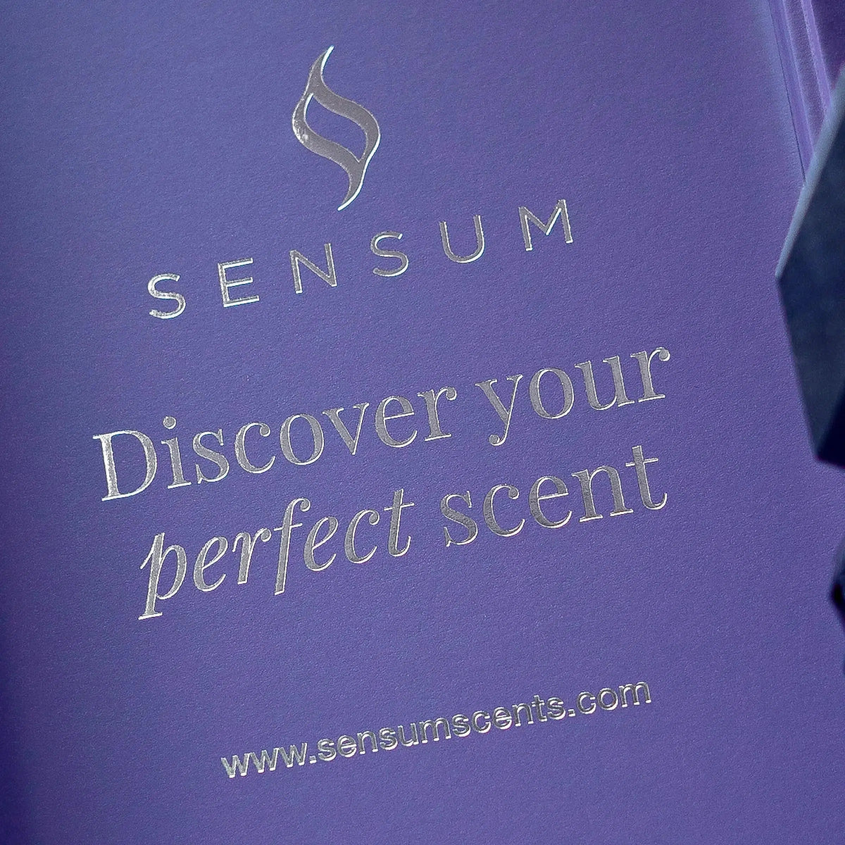Brazilian Nights - Sensum Reed Diffuser (500ml)
