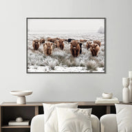 Heard of Highland Cows Print