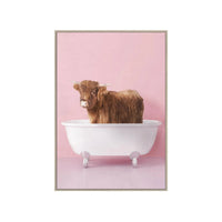 Highland Calf in Bathtub Print