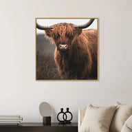 Highland Cow Print 1