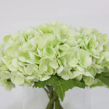 Light Green Artificial Hydrangea Arrangement in Cylindrical Vase - Large