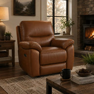 Luther 1 seater power recliner