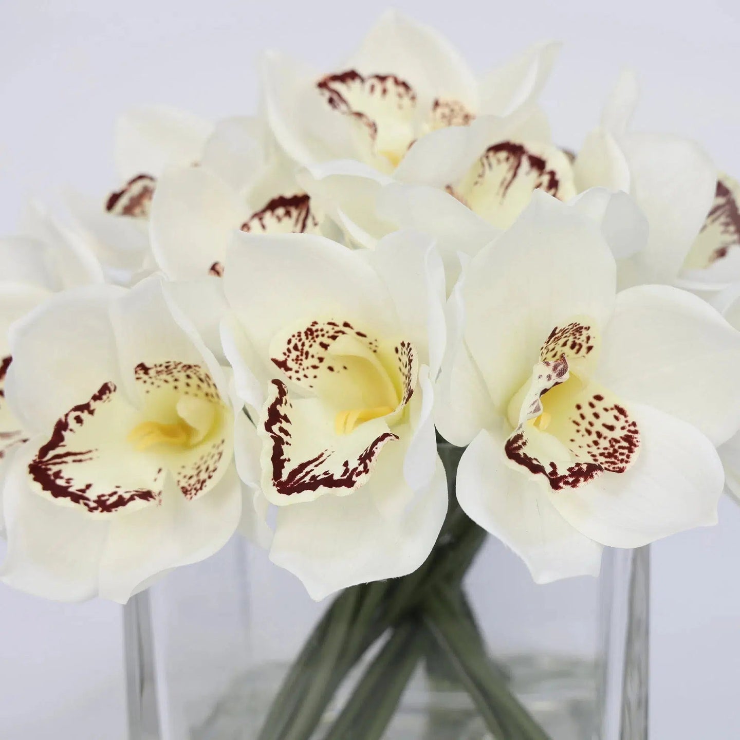 White Artificial Cymbidium Arrangement in Square Vase - Large