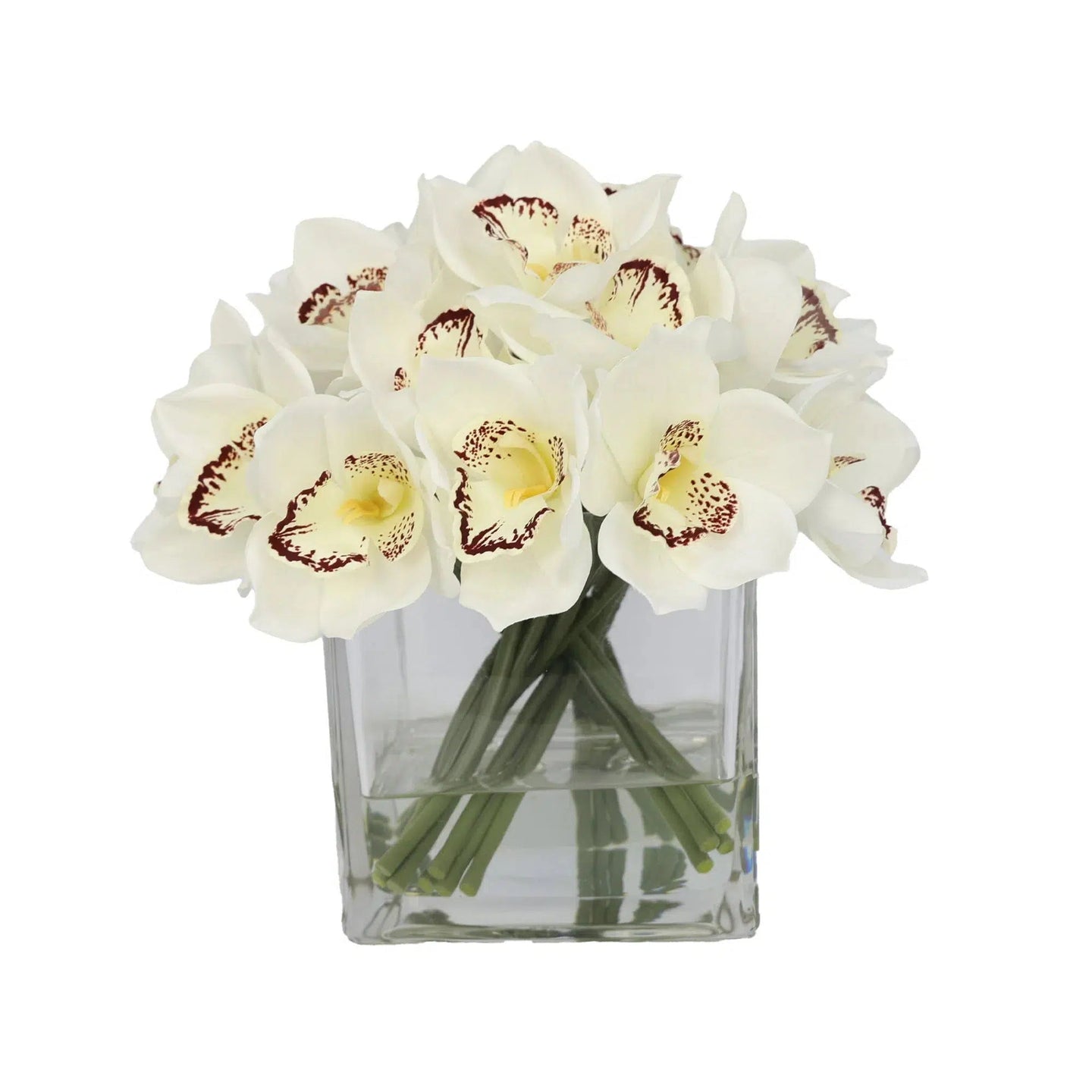 White Artificial Cymbidium Arrangement in Square Vase - Large