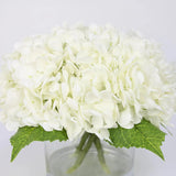 White Artificial Hydrangea Arrangement in Cylindrical Vase - Large