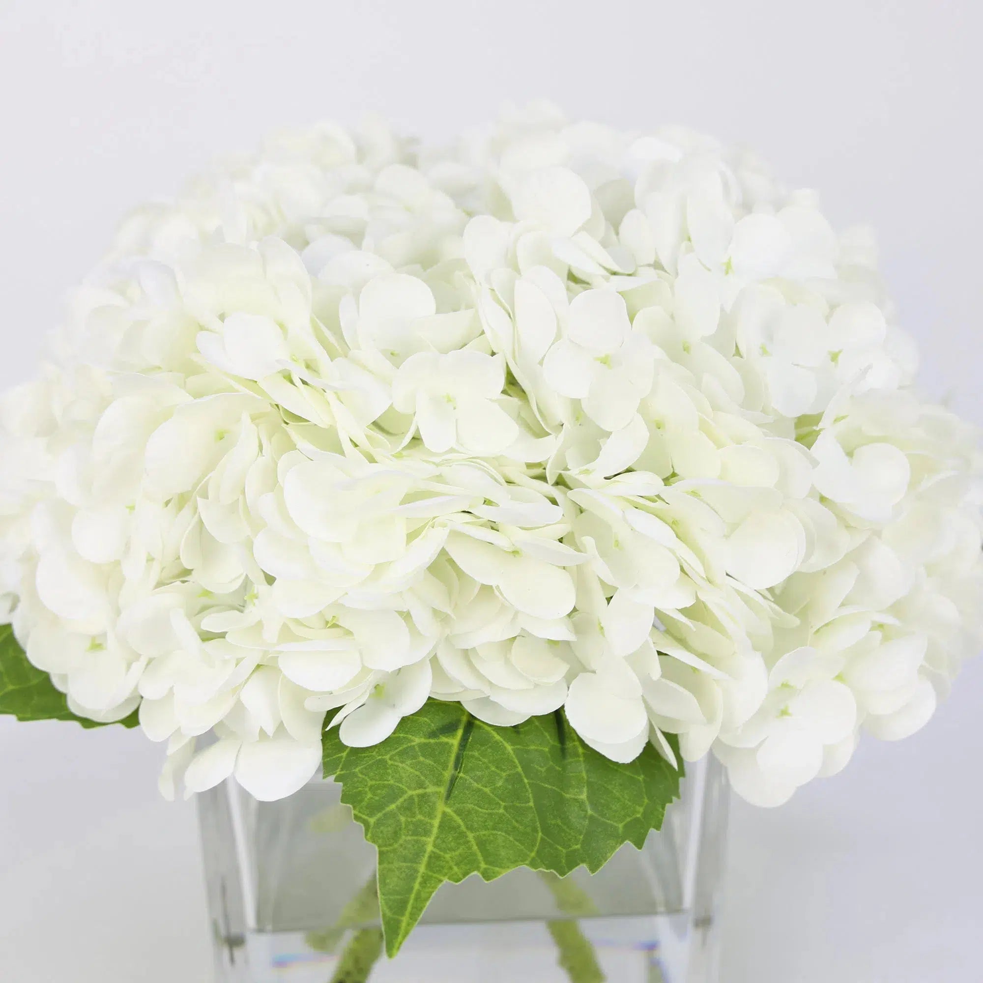 White Artificial Hydrangea Arrangement in Square Vase - Large