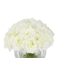 White Artificial Lisianthus Arrangement in Global Vase - Large