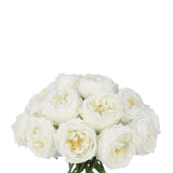 White Artificial Rose Arrangement in Cylindrical Vase - Extra large