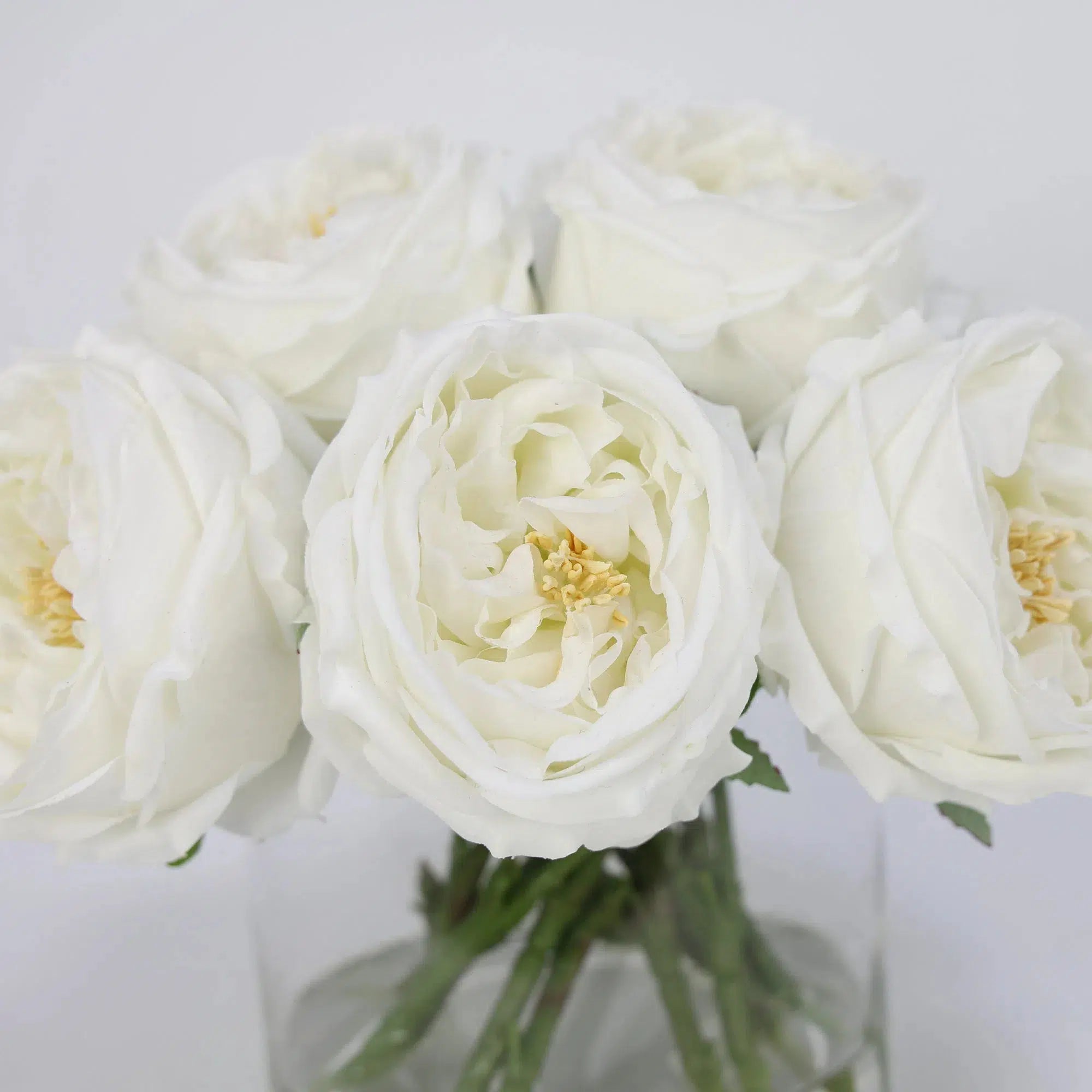 White Artificial Rose Arrangement in Cylindrical Vase - Large